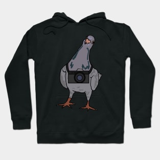 Pigeon's Always Watching Hoodie